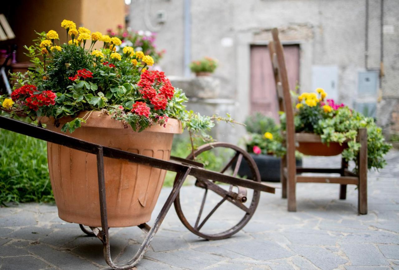 Готель Dimora Turistica De' Piazza Roccalvecce Екстер'єр фото